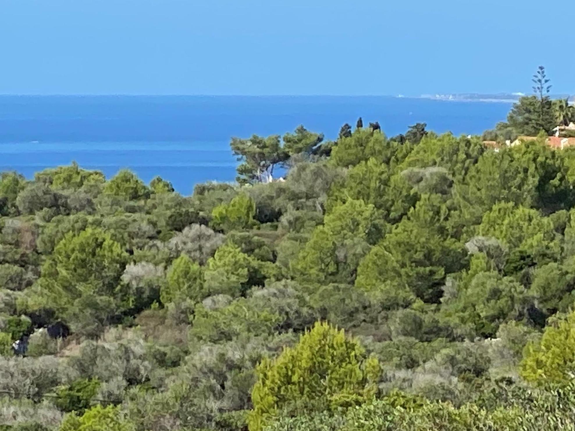 Holiday Home Finca Sant Jaume アライオル エクステリア 写真